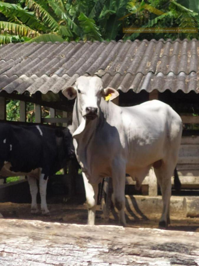 WhatsApp Image 2023-06-05 at 14.09.40 (1).jpeg